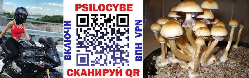 Псилоцибиновые грибы мухоморы  блэк спрут вход  Юрга 