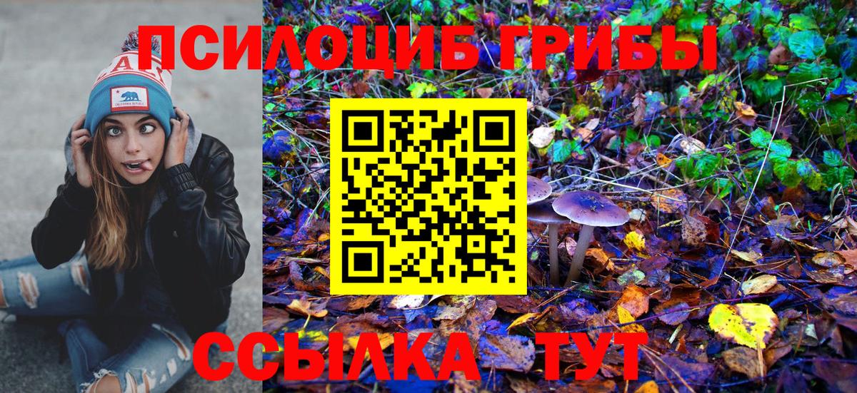 НБОМе Юрга