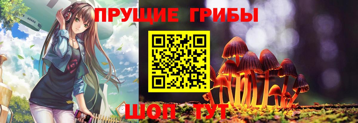 Галлюциногенные грибы GOLDEN TEACHER Юрга